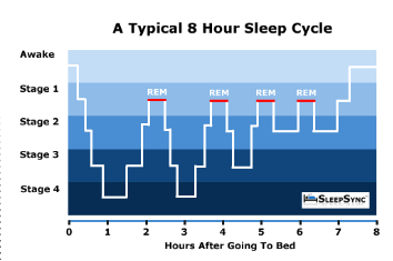 <p><strong><span>The Wake/Sleep Cycle</span></strong></p>