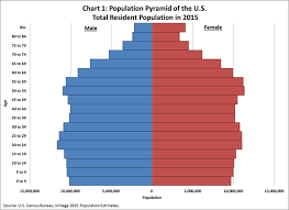 <p>A graph that shows the distribution of a population by age and gender </p>