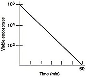 <p>A suspension of 10<sup>6</sup> Bacillus cereus endospores was put in a hot-air oven at 170°C. Plate counts were used to determine the number of endospores surviving at the time intervals shown.</p><p>In the figure, the thermal death point for this culture is</p><ol><li><p>30 minutes.</p></li><li><p>50°C.</p></li><li><p>15 minutes.</p></li><li><p>170°C.</p></li><li><p>The answer cannot be determined based on the information provided</p></li></ol><p></p>