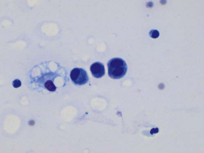 term image