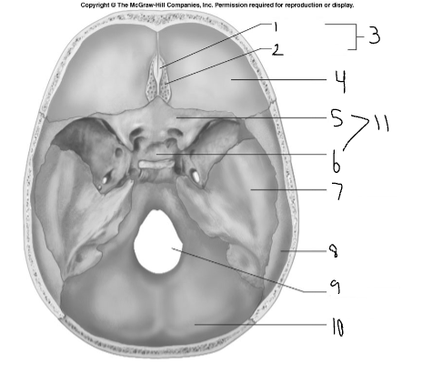 <p>5</p>