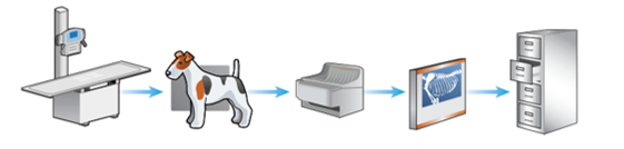 <p>The stages of film-based conventional radiography </p>