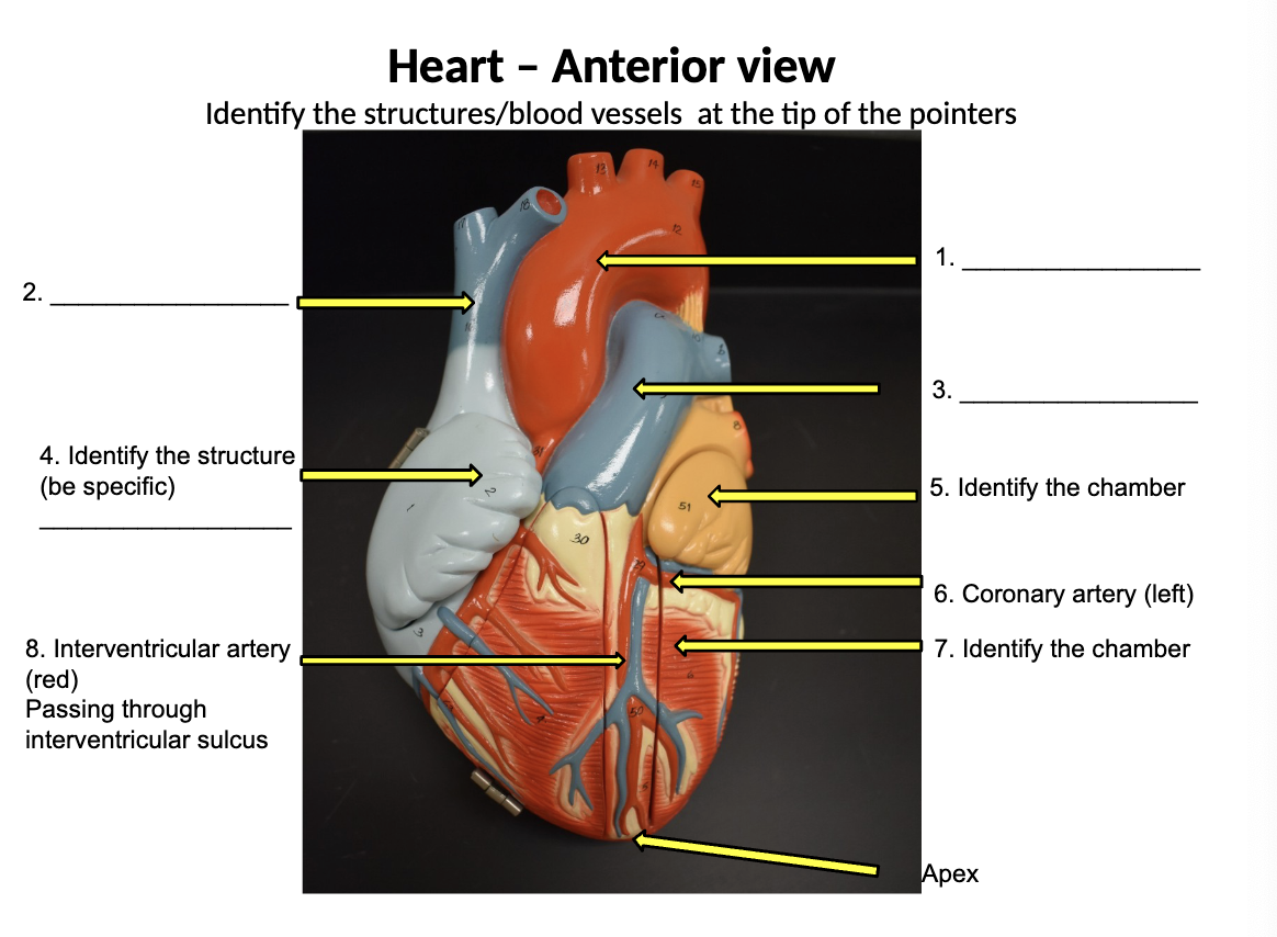 <p>identify&nbsp;</p>