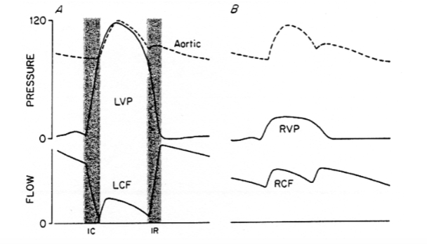 <p>dec</p>