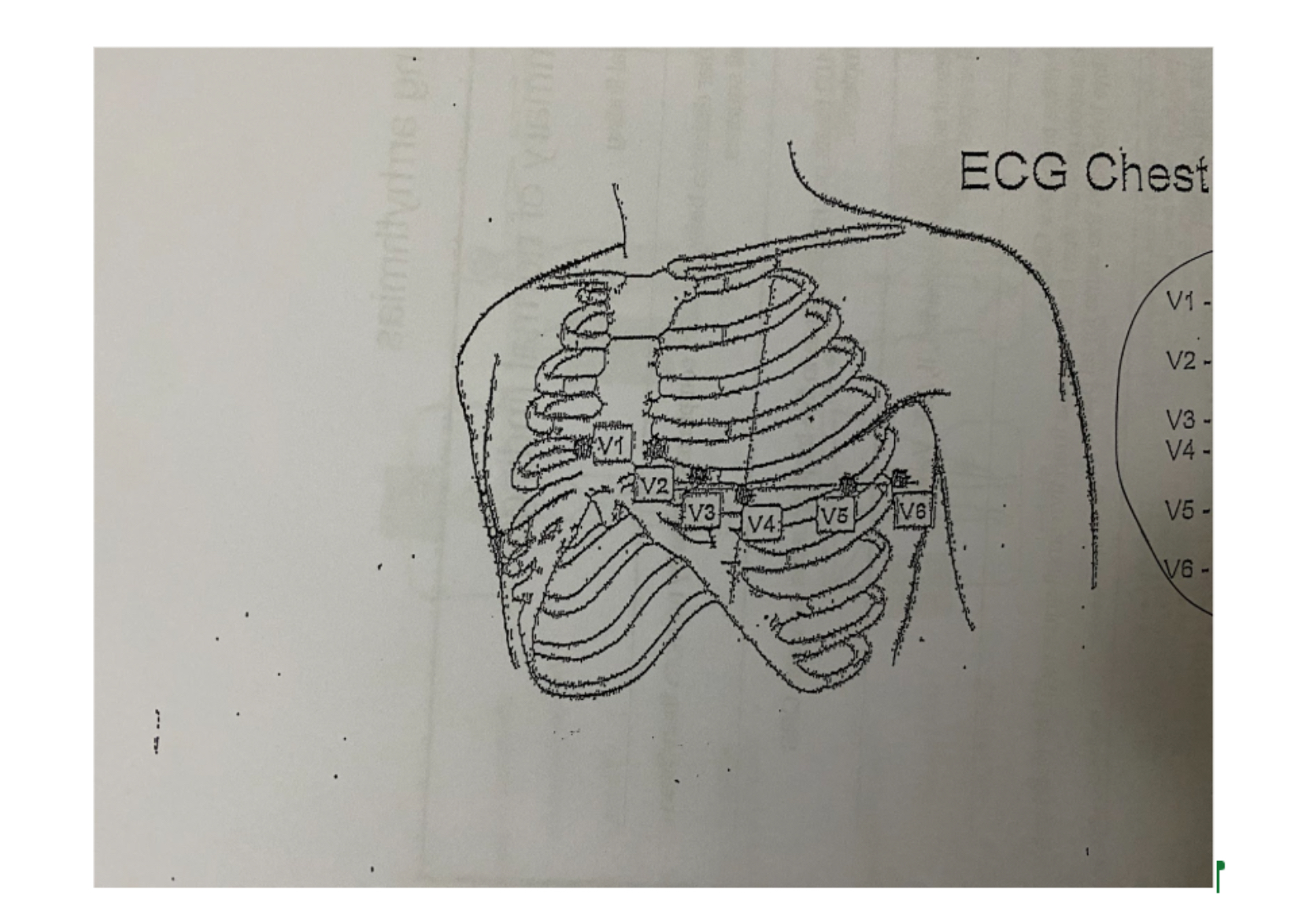 <p>What is this?</p>