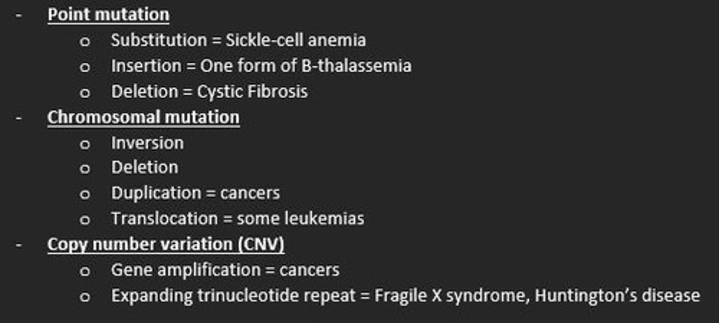 <p>- Point mutation</p><p>- Chromosomal mutation</p><p>- Copy number variation</p>