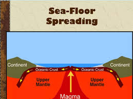 <p>Seafloor spreading is the process by which <strong>new oceanic crust is created at mid-ocean ridges</strong> and gradually moves away from the ridge, causing the ocean floor to widen.</p><p>How it works:&nbsp;</p><ol><li><p><strong>Magma rises</strong> from the mantle at mid-ocean ridges (divergent plate boundaries).</p></li><li><p>When magma cools, it forms <strong>new basaltic ocean crust</strong>.</p></li><li><p>As more magma rises, the older crust is pushed outward, away from the ridge.</p></li><li><p>This process continuously <strong>recycles oceanic crust</strong> (the oldest ocean floor is &lt;200 million years old).</p></li></ol><p></p><p>Key evidence: </p><ul><li><p><strong>Magnetic stripes</strong>: Symmetrical patterns of reversed and normal magnetic polarity on either side of ridges show that new crust formed as Earth’s magnetic field flipped.</p></li><li><p><strong>Age of ocean floor</strong>: Rocks are youngest at the ridge and get progressively older away from it.</p></li><li><p><strong>Heat flow</strong>: Highest at mid-ocean ridges.</p></li></ul><p></p>
