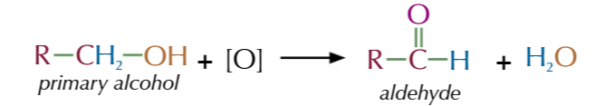 <p>aldehydes</p>