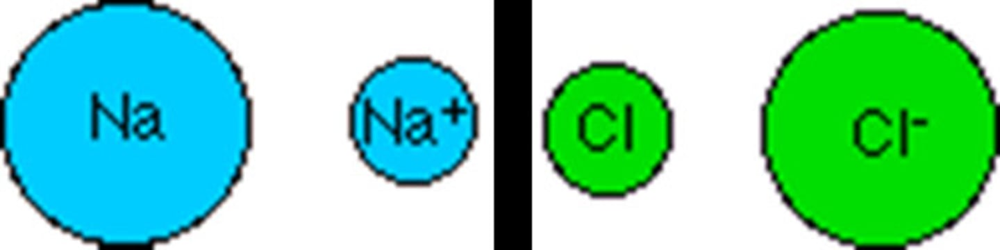 <p>increases with increasing negative charge</p><p>anions (-) are larger than neutral, cations (+) are smaller</p>