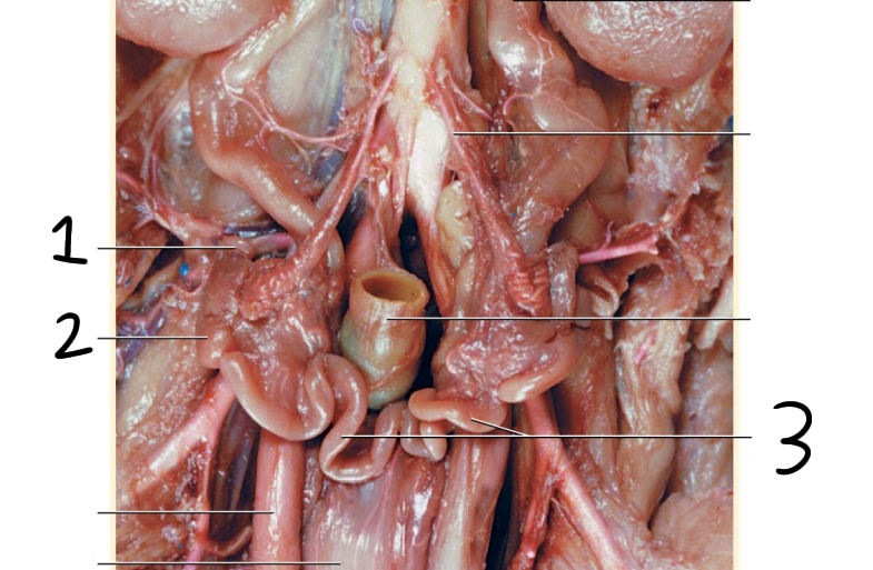 <p>What is 1? Purpose?</p>