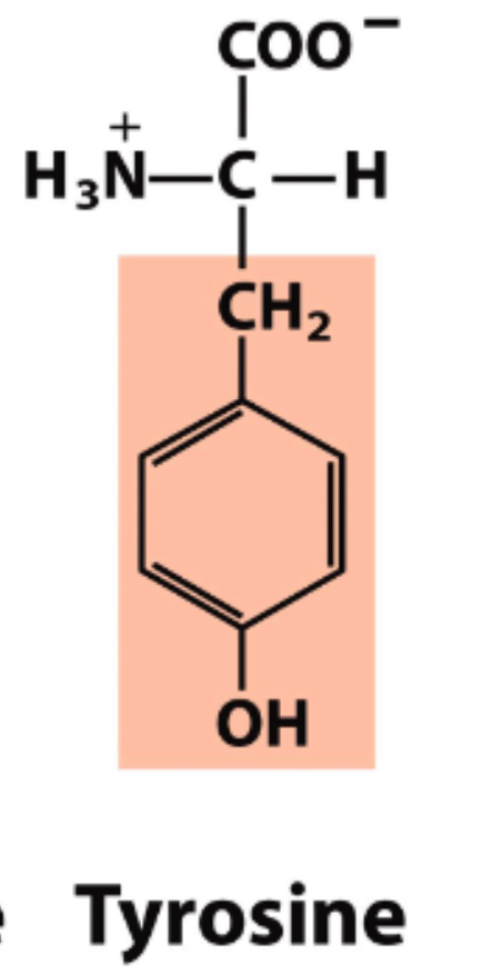 <p>pK<sub>R</sub>=10.07</p>