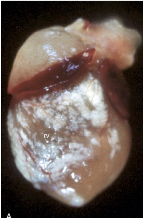 <p>What is this showing?</p>