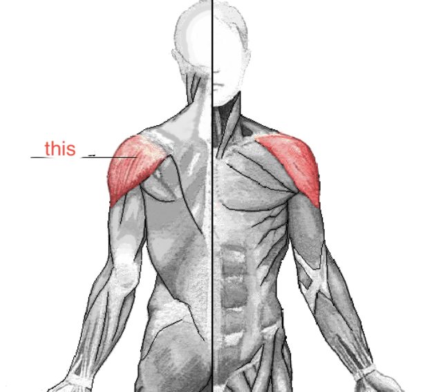 term image