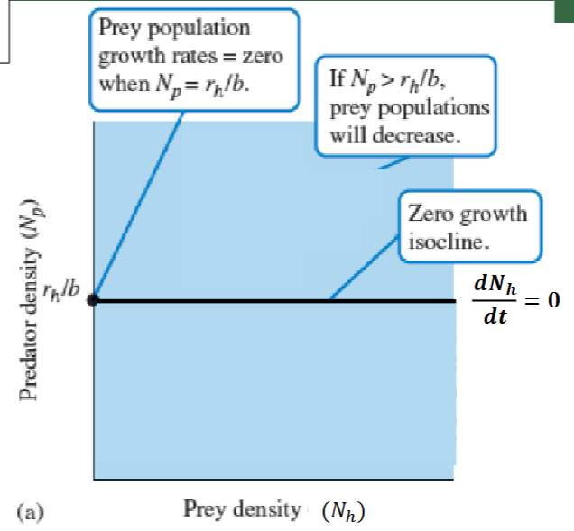 <p>X = Prey density</p><p>Y = Predator density</p>
