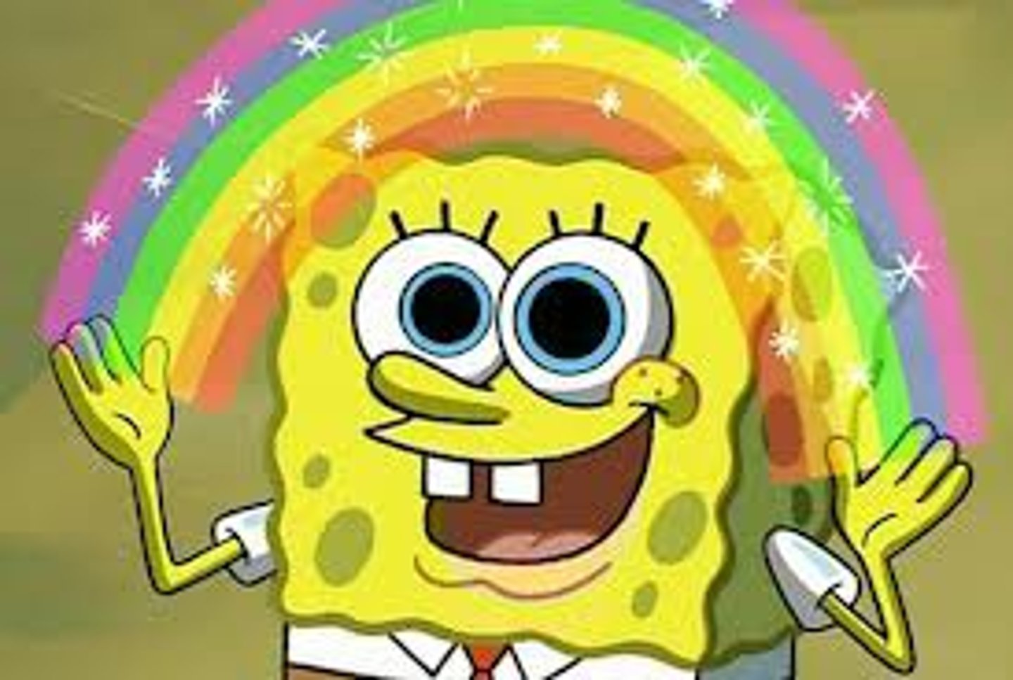 <p>sponge</p>
