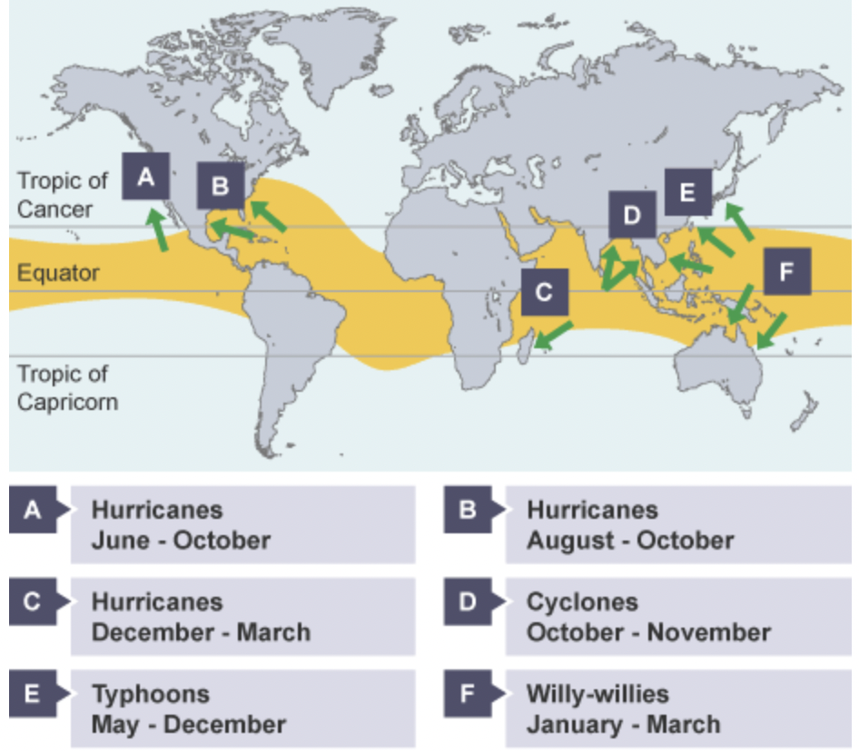 <p>often occur at start of American summer from end of June to October </p>