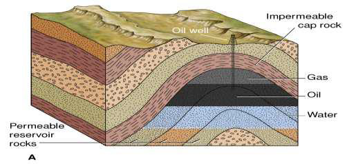 <ul><li><p>trap lightweight migrating fluids squeezed from rocks (e.g., hydrocarbons)</p></li><li><p>often sought when looking for oil </p></li></ul><p></p>