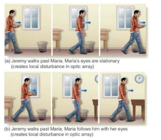 <p>Local Disturbance in the Optic Array</p>