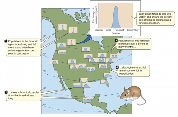 <p><span><span>The graphs in the figure represent the</span></span></p>