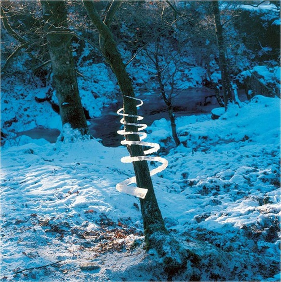 <p>Title: <strong>Reconstructed icicles/around a tree</strong>/finished late afternoon/catching the sunlight/Glen Martin Falls</p><p>Time: 1990s.</p><p>Known for:</p><ul><li><p><strong>celebrating the natural world</strong> while acknowledging the <strong>fragility</strong> of both the materials and the natural environment itself.</p></li><li><p>It also explores themes of <strong>human intervention</strong> in nature and the <strong>relationship between art and the environment</strong>.</p></li></ul><p></p>