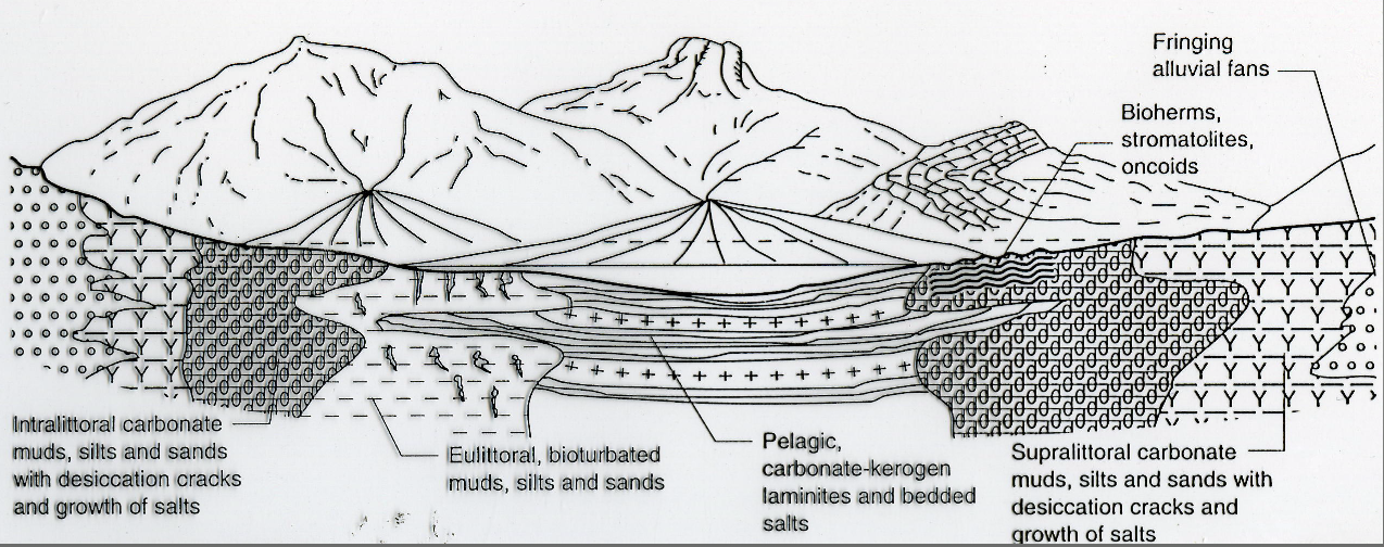 <p>Hva kjennetegner vannet i lukkede innsjøer (closed perennial lakes)?</p>