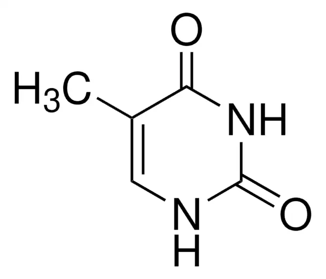 <ul><li><p>pyrimidine</p></li><li><p>uracil met methyl</p></li></ul><p></p>