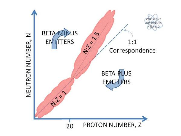 <ol><li><p>In general, stable nuclides have an equal number of protons and neutrons.</p></li><li><p>However, as the&nbsp;<span><em>Z</em></span>&nbsp;increases the number of neutrons increases slightly.</p><ol><li><p>Protons repel each other and neutrons can be thought of as glue which holds the nucleus together (you need more glue as the repulsive force grows).</p></li></ol></li></ol><ol start="3"><li><p>Nuclides attempt to return to the line of stability through an appropriate mode of radioactive decay.</p></li></ol><p></p>