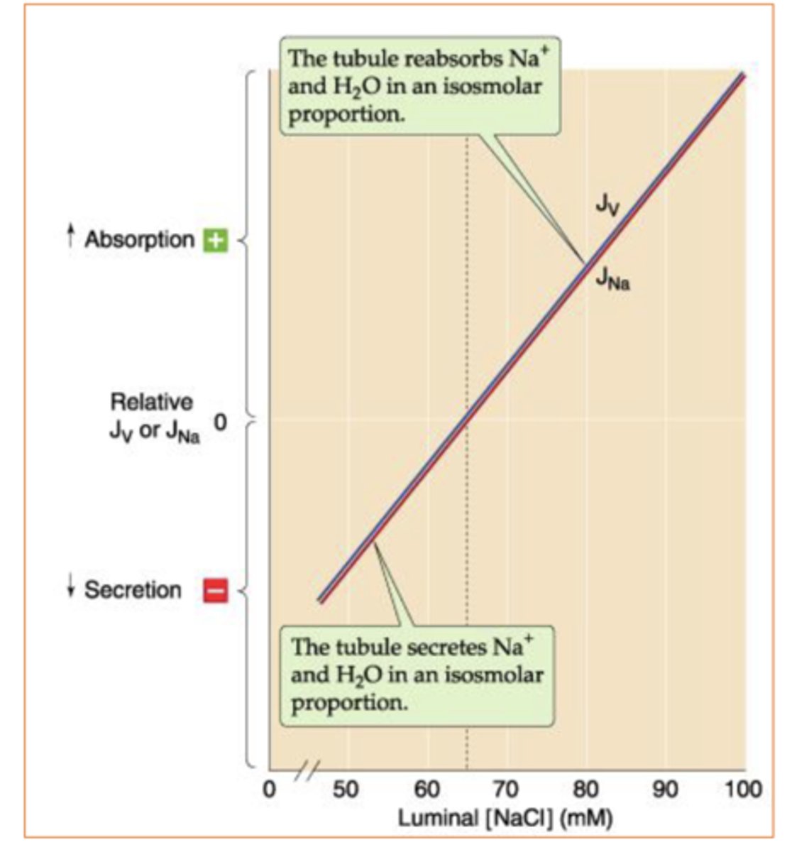 <p>True ==&gt; b/c PCT is permeabel to water so it's able to follow the Na+ that gets reabs </p>