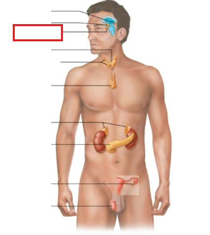 <p>What structure is highlighted?</p>
