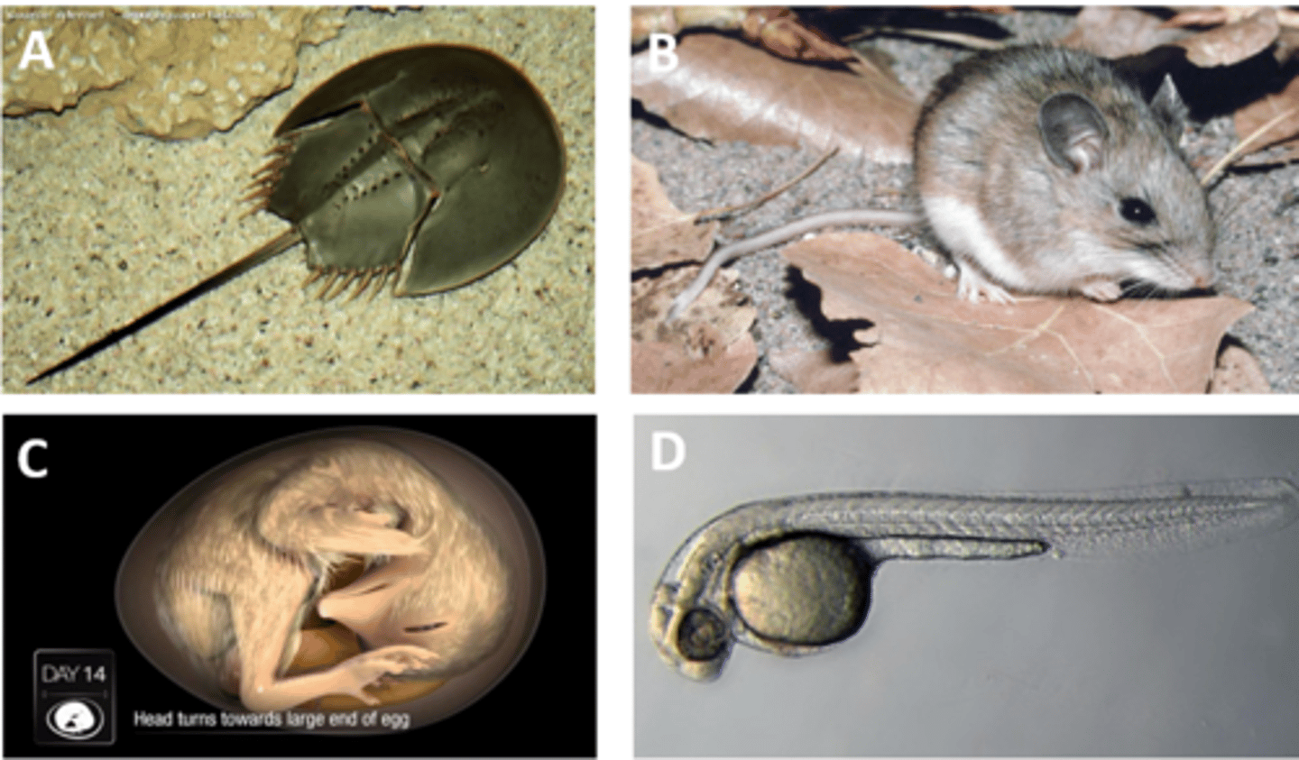 <p>Which are regulated by PHS?</p>