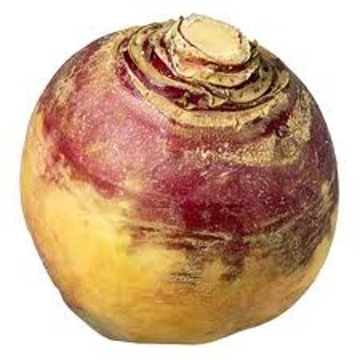 <p>A root vegetable, similar to a turnip, often used in soups and stews. (su hào vàng)</p>