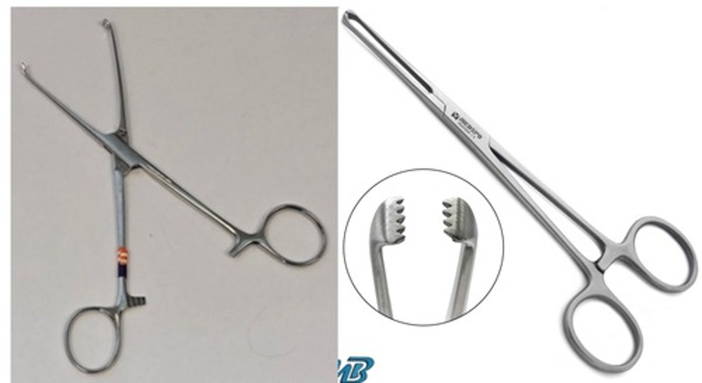 <p>Name this instrument. Spelling counts.</p>