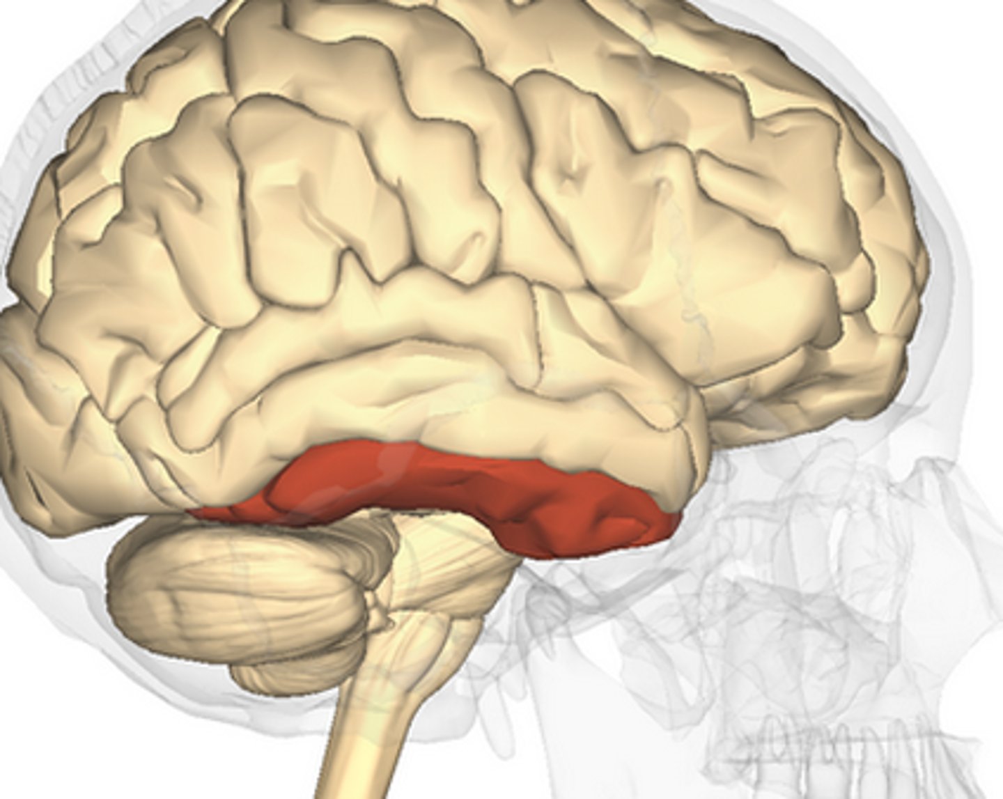 <p>ID</p>