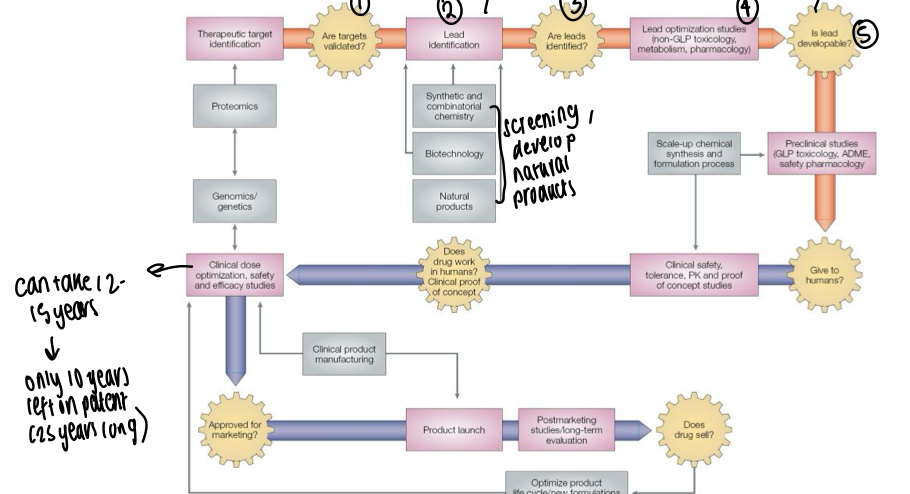 <p>Each cog represents where a decision must be made </p>