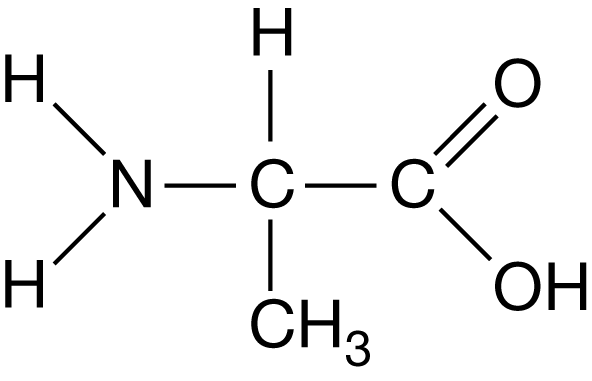 <p>The amino acid in Figure 1 is found in a region of a polypeptide that folds away from water. Which part of the amino acid most likely contributes to the hydrophobic behavior of this region of the polypeptide?</p><p>A) Amine (NH2 ) group</p><p>B) Carboxyl ( COOH) group</p><p>C) Methyl (CH3) group</p><p>D) Hydrogen (<span>H</span>) atom</p>