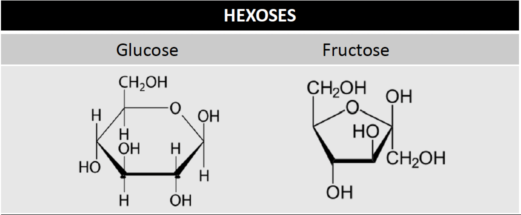 <p>A type of monosaccharide </p>