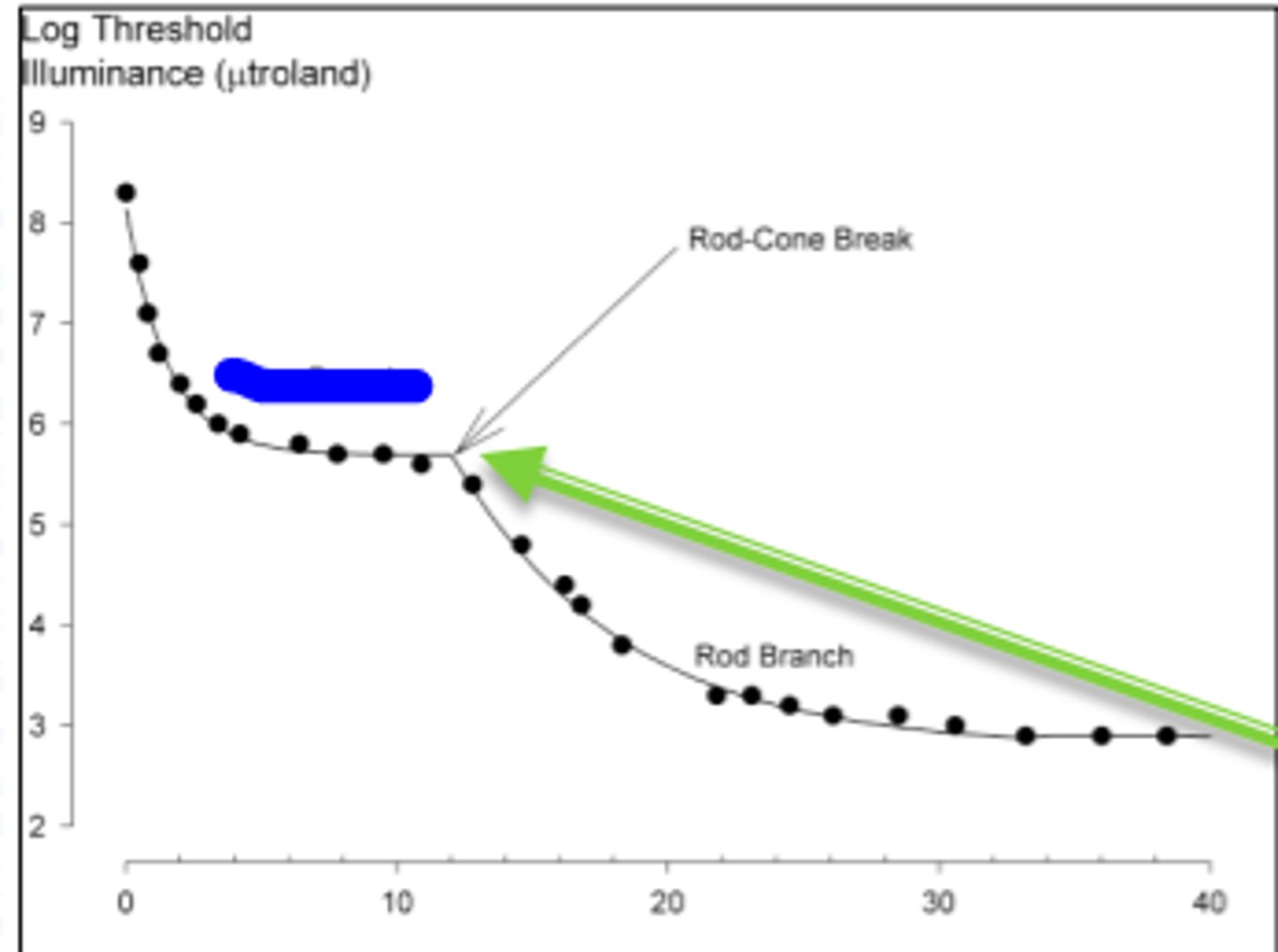 <p>branch of the dark adaptation curve occuring during the first ten minutes. Color can be detected during this part of the dark adaptation curve. Cones are more sensitive than rods because they recover faster from bleaching</p>