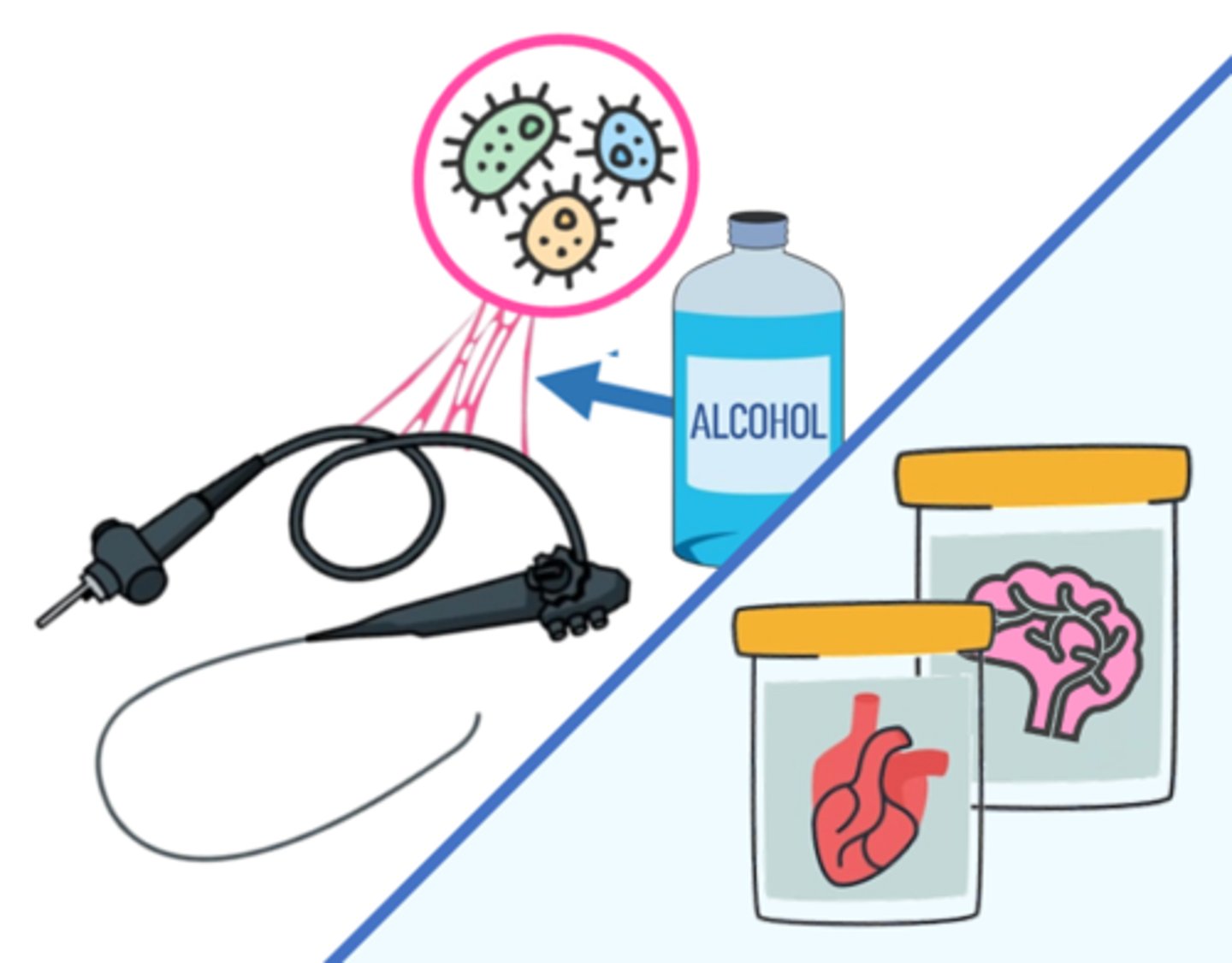 <p>a substance used to keep things in position or stick them together; a chemical substance used to preserve or stabilize biological material for examination</p>