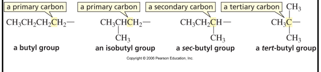 <ul><li><p>1<sup>o</sup></p></li><li><p>carbon that is bonded to only one other carbon</p></li></ul><p></p>