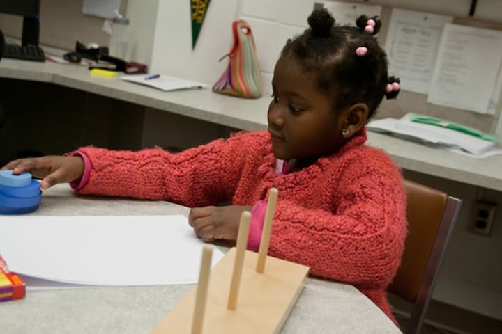 <p>the scientific study of observable behavior, and its explanation by principles of learning</p>