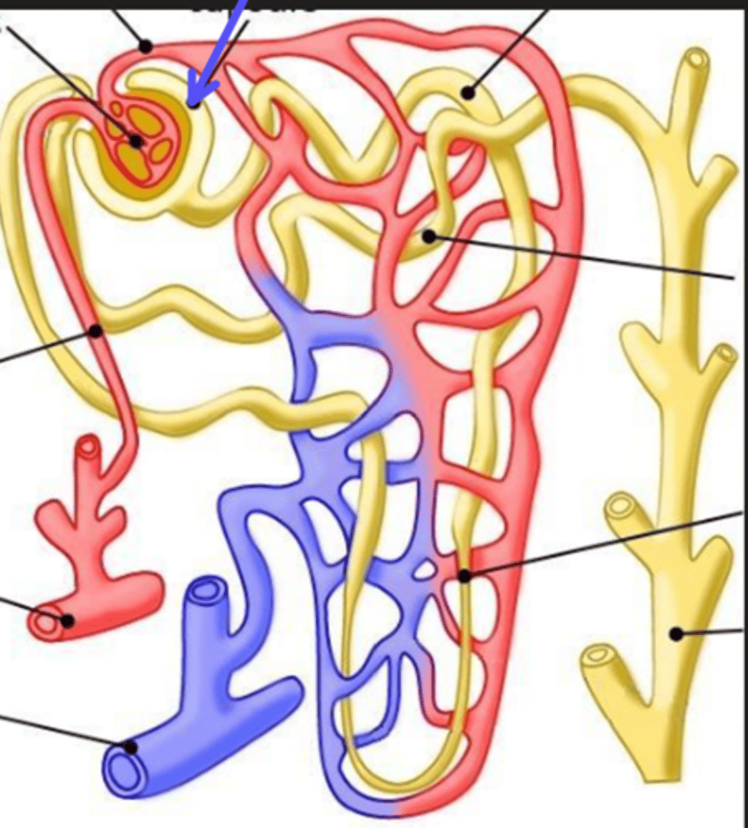 <p>What is the arrow pointing at?</p>