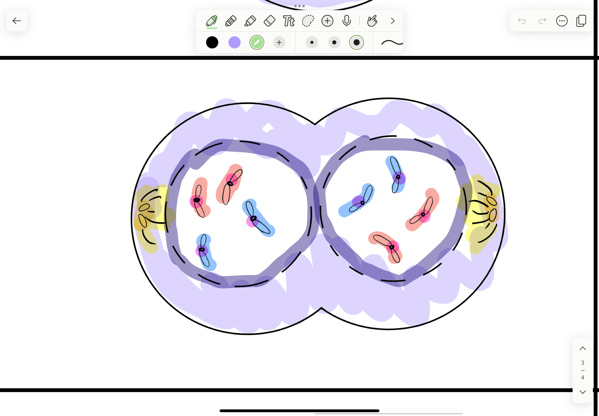 <p>What phase</p>