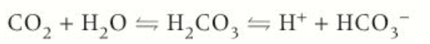 <ul><li><p>carbon dioxide reacts with water to form carbonic acid</p></li><li><p>this reaction happens slowly in the blood plasma but in the cytoplasm of red blood cells there is the enzyme carbonic anhydrase which catalyses this reactions</p></li><li><p>the carbonic acid then dissociates to form hydrogen carbonate ions and hydrogen ions</p></li></ul><p></p>