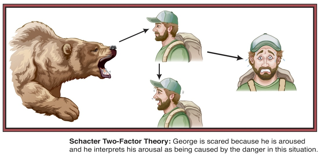 <p>Schachter-Singer Two-Factor Theory</p>