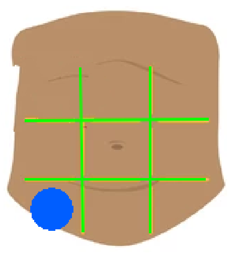 knowt flashcard image