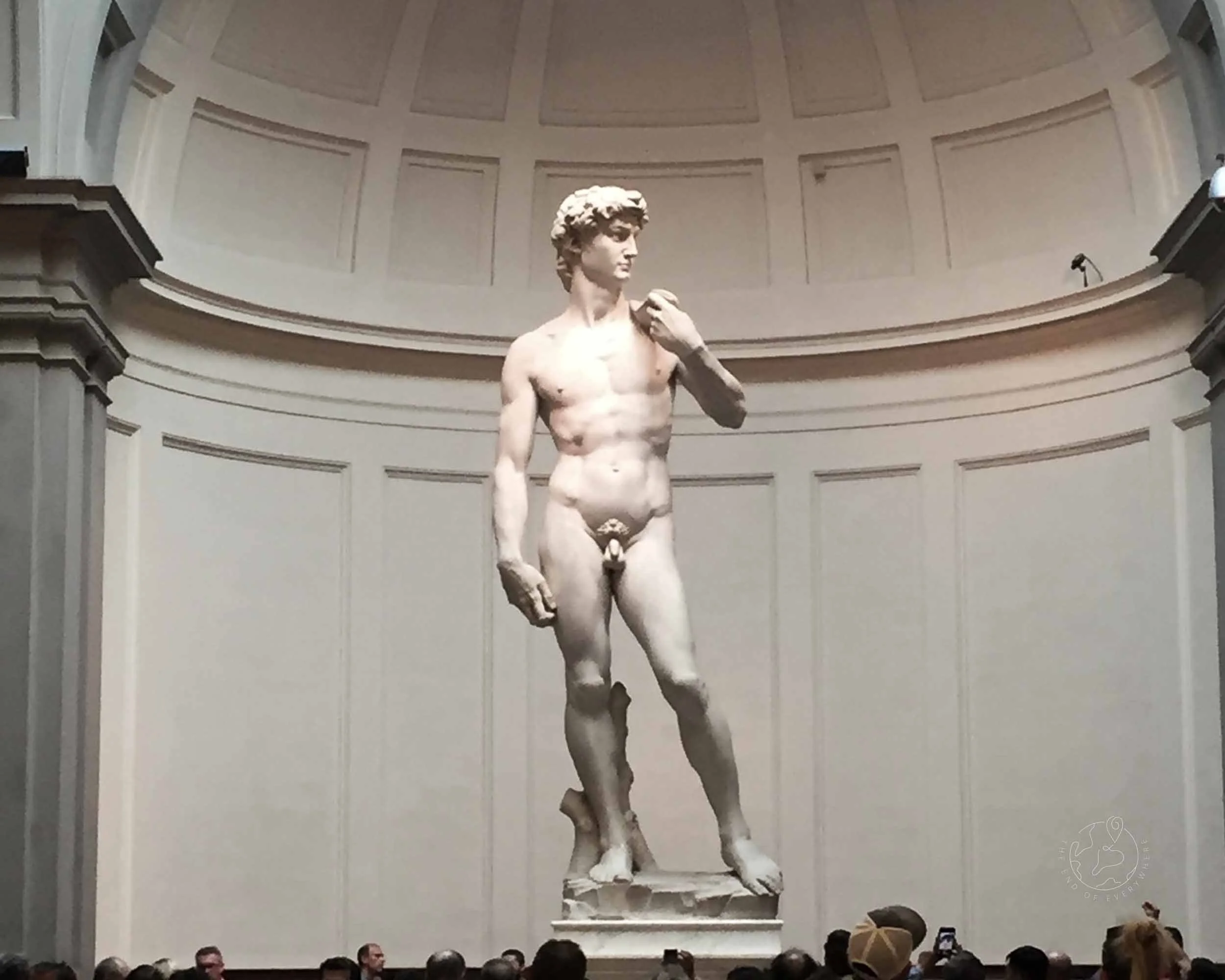 <p>david </p>