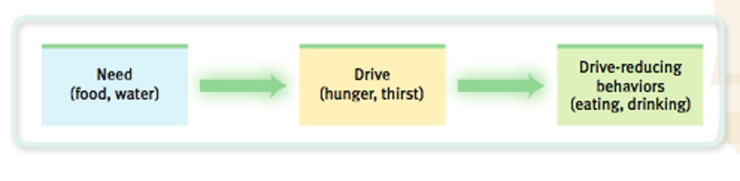 <p>suggests that individuals engage in certain behavior in an attempt to alleviate physiological states of discomfort</p><p>[Motivation]</p>