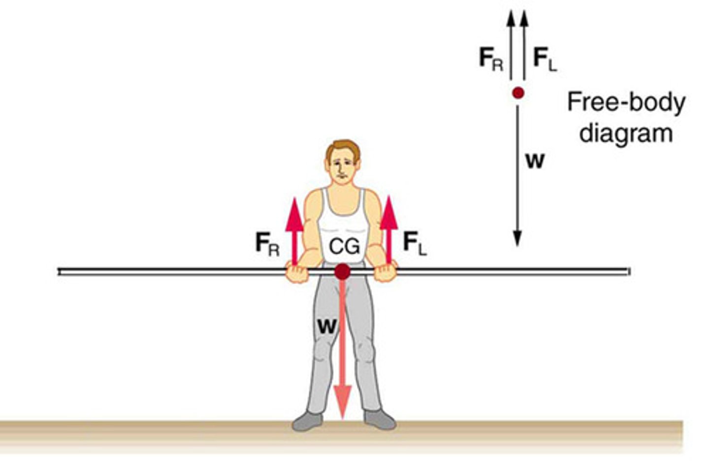 <p>The sum of all forces acting on a system, which must be zero for the system to be in static equilibrium.</p>