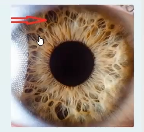 <p>what is this called </p>