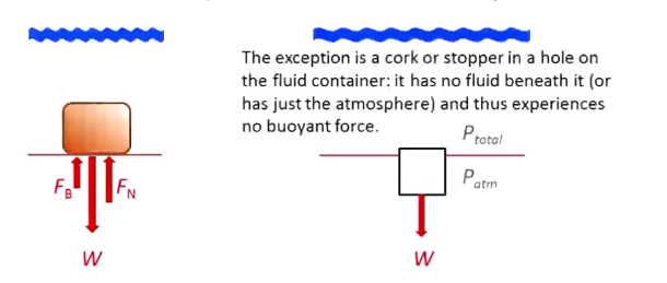 <p>Force exerted up on an object that is partially or completely submerged in fluid due to pressure difference between the top and bottom of the object</p><p>Even if you are standing on the bottom of the floor in fluid, there is buoyant force</p><p>Only a cork/stopper in a hole on a fluid container has no buoyant force</p>